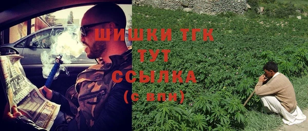 гашик Алзамай