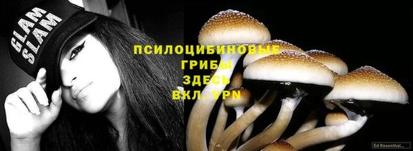 гашик Алзамай