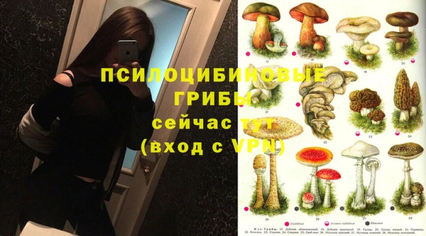 mdpv Алексин