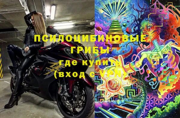 гашик Алзамай