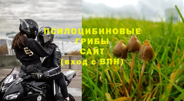 mdpv Алексин