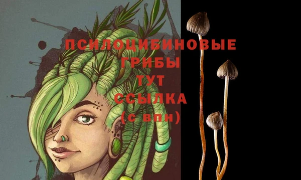 гашик Алзамай