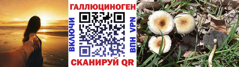 Галлюциногенные грибы мухоморы  купить наркотик  Верхняя Пышма 
